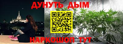 a pvp Ирбит