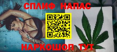 шишки Изобильный